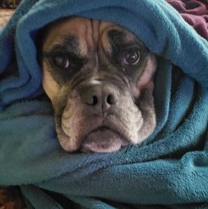 Meet your Posher, Kali